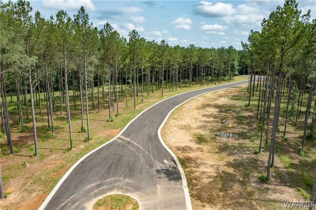 Lot 20 Stormi Way, Berry, Alabama image 3