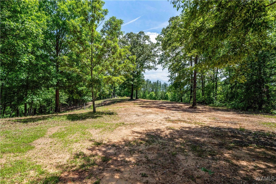 15293 Watermelon Road, Tuscaloosa, Alabama image 38
