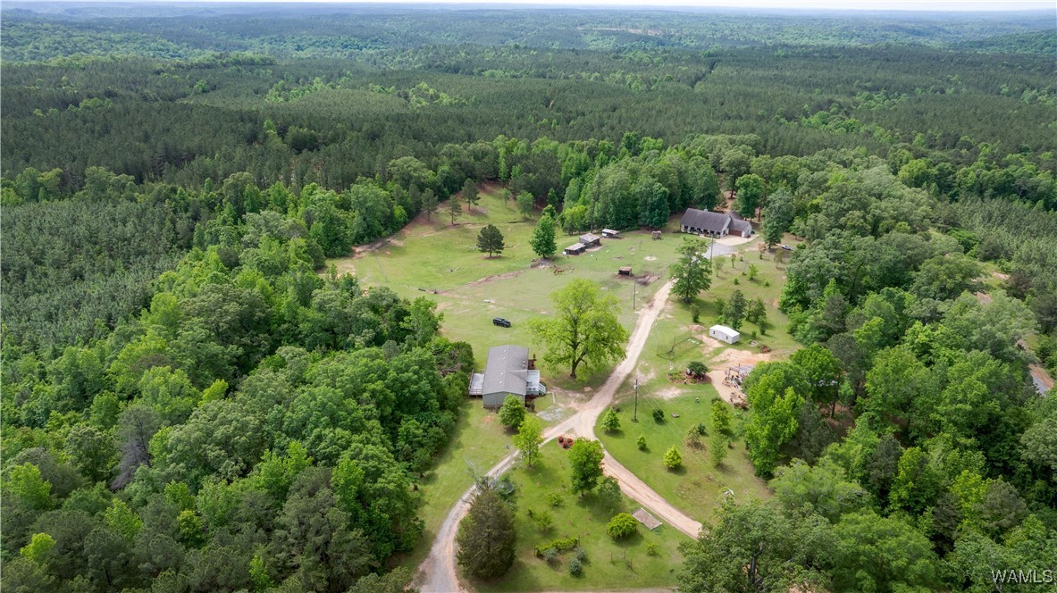 15293 Watermelon Road, Tuscaloosa, Alabama image 2