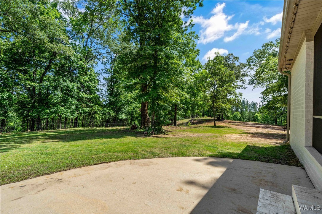 15293 Watermelon Road, Tuscaloosa, Alabama image 35