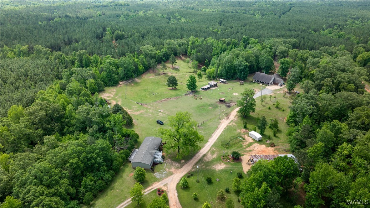 15293 Watermelon Road, Tuscaloosa, Alabama image 3
