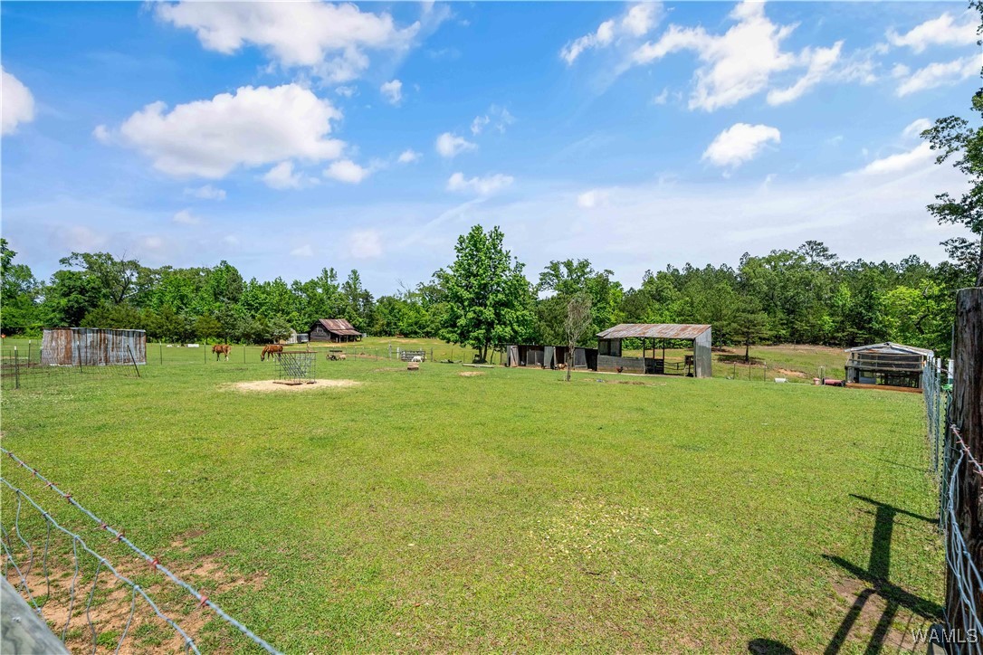 15293 Watermelon Road, Tuscaloosa, Alabama image 45
