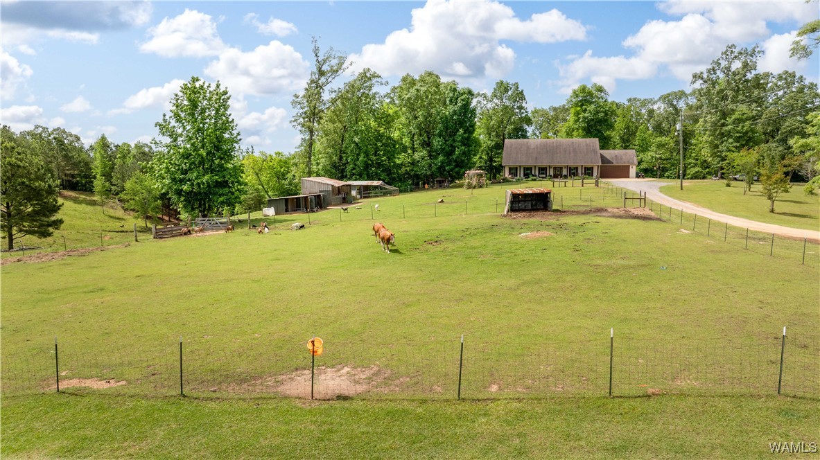 15293 Watermelon Road, Tuscaloosa, Alabama image 44