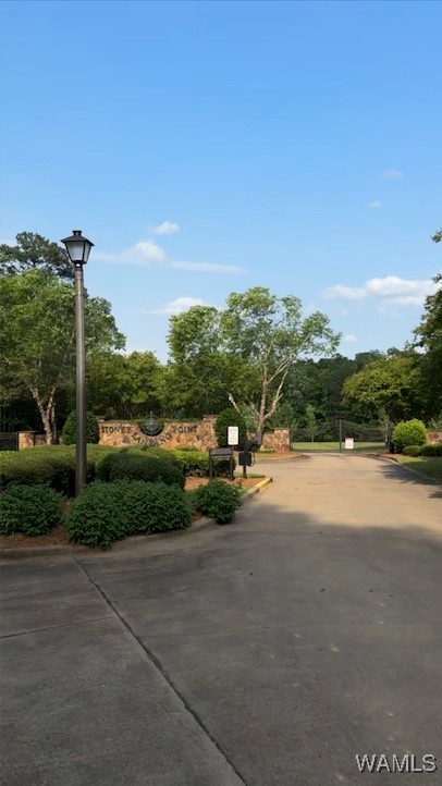 34 Stoney Point Landing, Double Springs, Alabama image 2