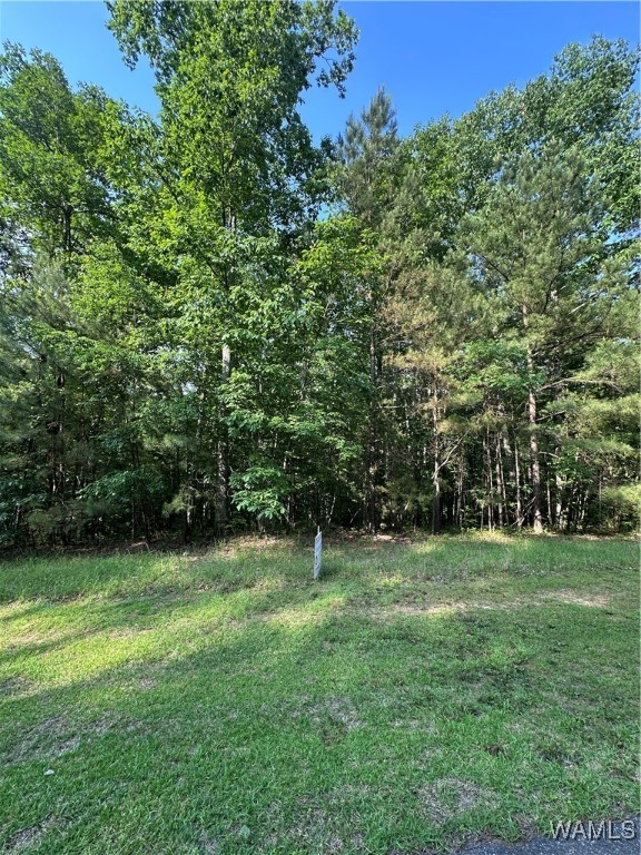 34 Stoney Point Landing, Double Springs, Alabama image 3