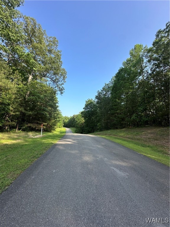 34 Stoney Point Landing, Double Springs, Alabama image 4