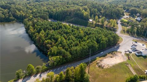 Vacant Land For Sale - Highway 43 N<br/> North Port, AL 35475