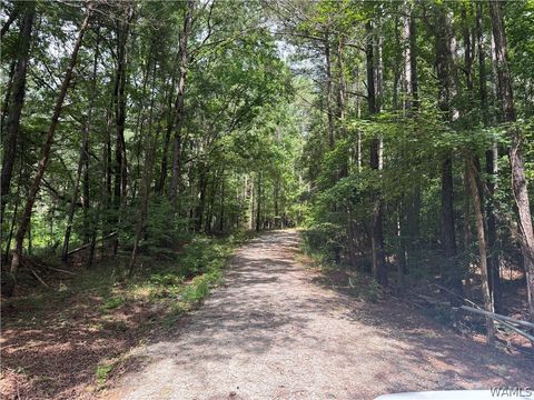 Vacant Land For Sale - 1 Samson Clements Loop Road<br/> Berry, AL 35546