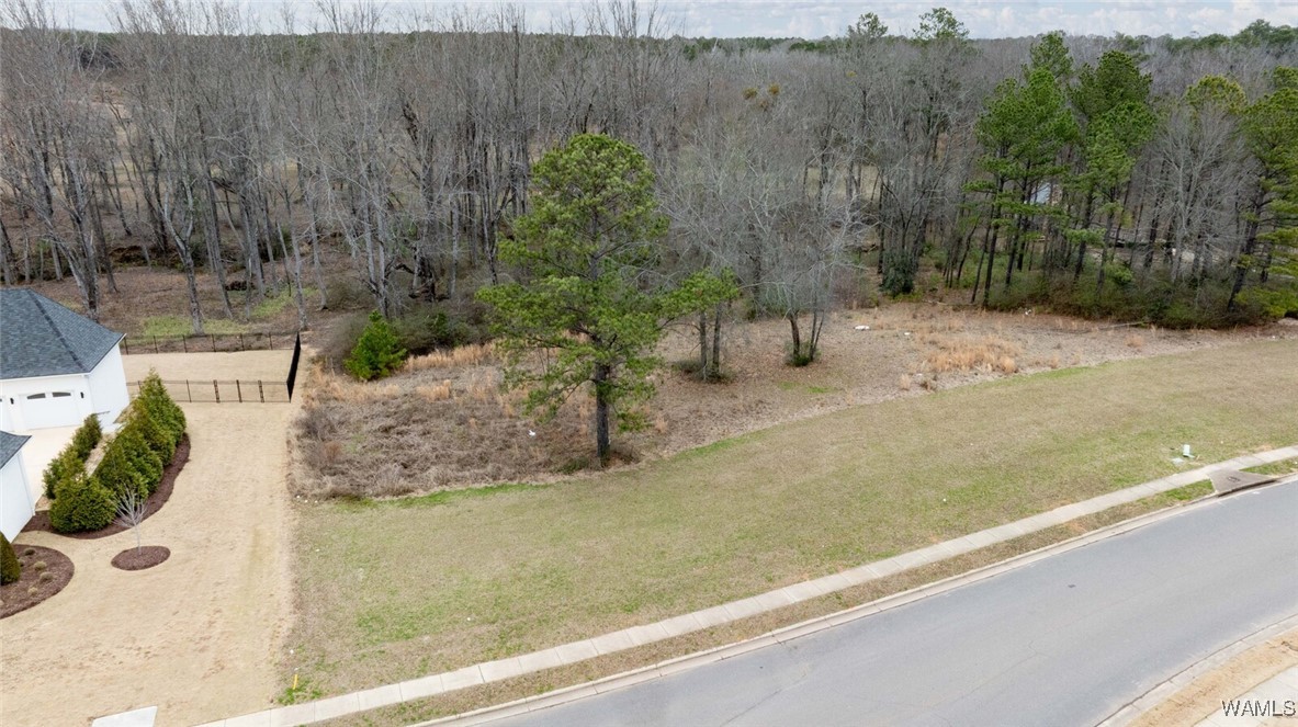 938 Highgrove Road, Tuscaloosa, Alabama image 4