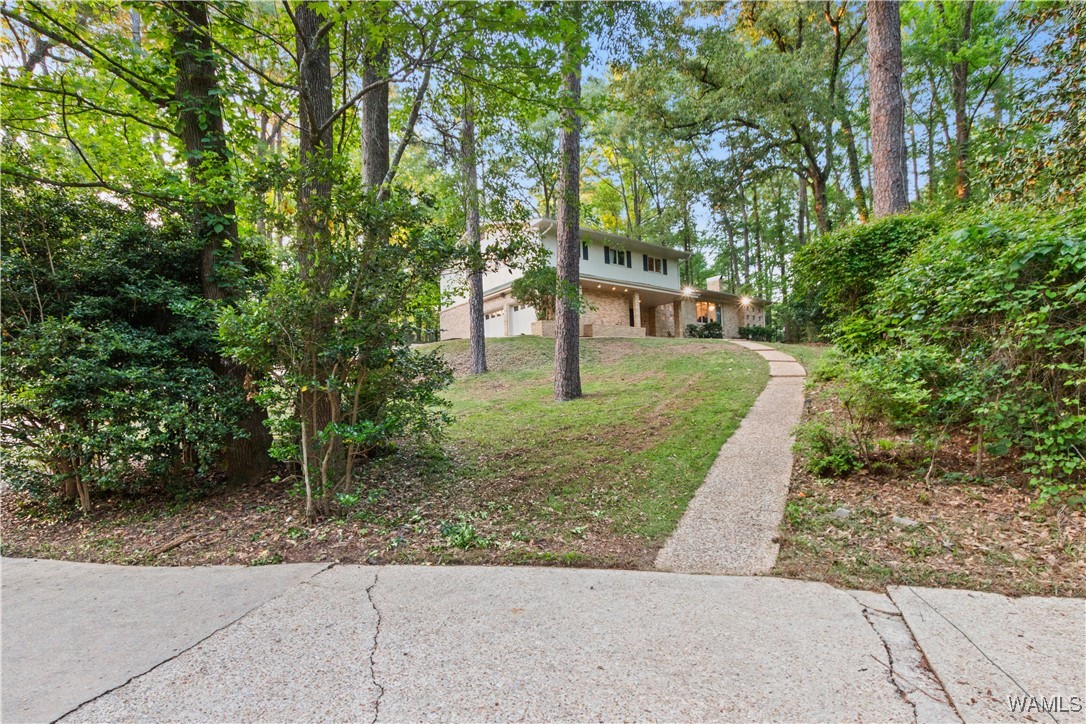 4704 Oneida Ave Ave, North Port, Alabama image 5