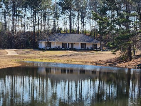 Homes For Sale - 14421 Tingle Estates<br/> Cottondale, AL 35453
