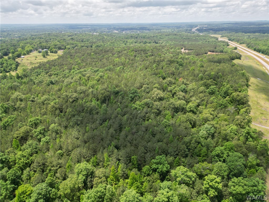 Highway 82, Centreville, Alabama image 4