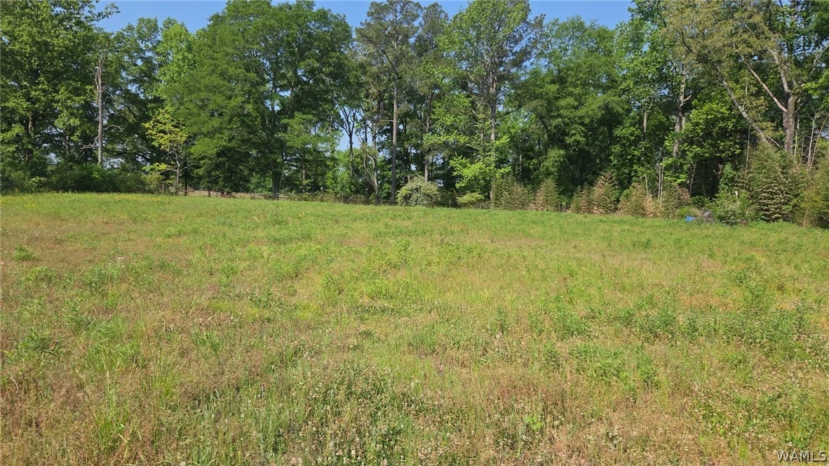 Photo 1 of 6 — 10997 Vance Blocton Road, Vance, AL 35490