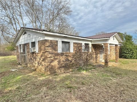 Homes For Sale - 4157 County Road 85 Road<br/> Aliceville, AL 35442