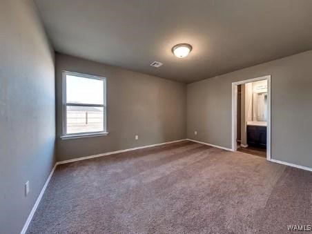 10414 Caleb Court, Tuscaloosa, Alabama image 11