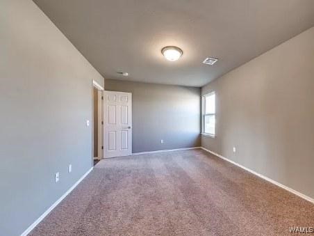 10414 Caleb Court, Tuscaloosa, Alabama image 7