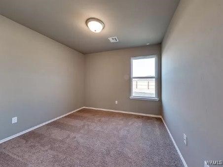 10414 Caleb Court, Tuscaloosa, Alabama image 8