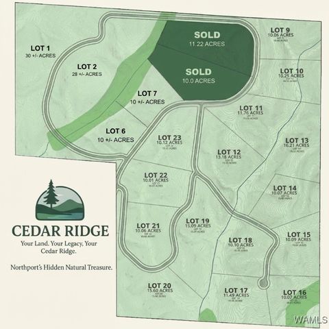 01 Cedar Ridge Northport AL 35475