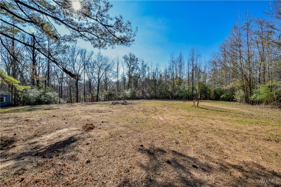 383 Pine Ridge Drive, Moundville, Alabama image 49