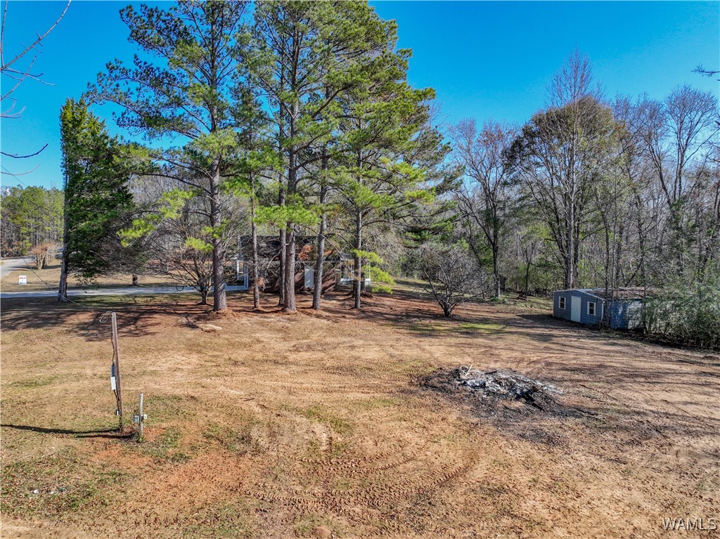 383 Pine Ridge Drive, Moundville, Alabama image 9