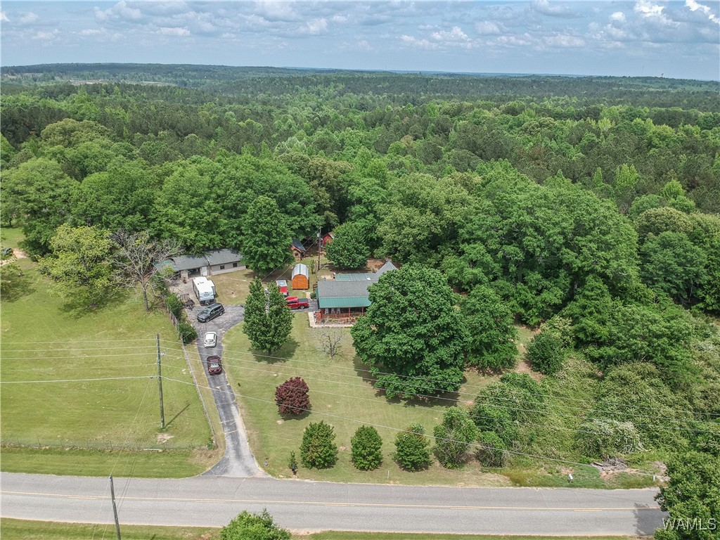 16397 Boothtown Road, Buhl, Alabama image 48