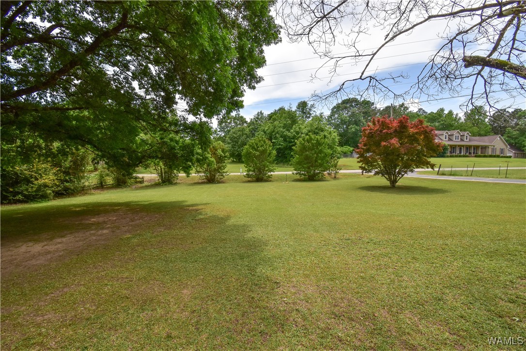 16397 Boothtown Road, Buhl, Alabama image 43