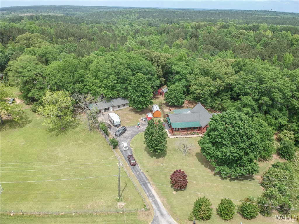 16397 Boothtown Road, Buhl, Alabama image 50