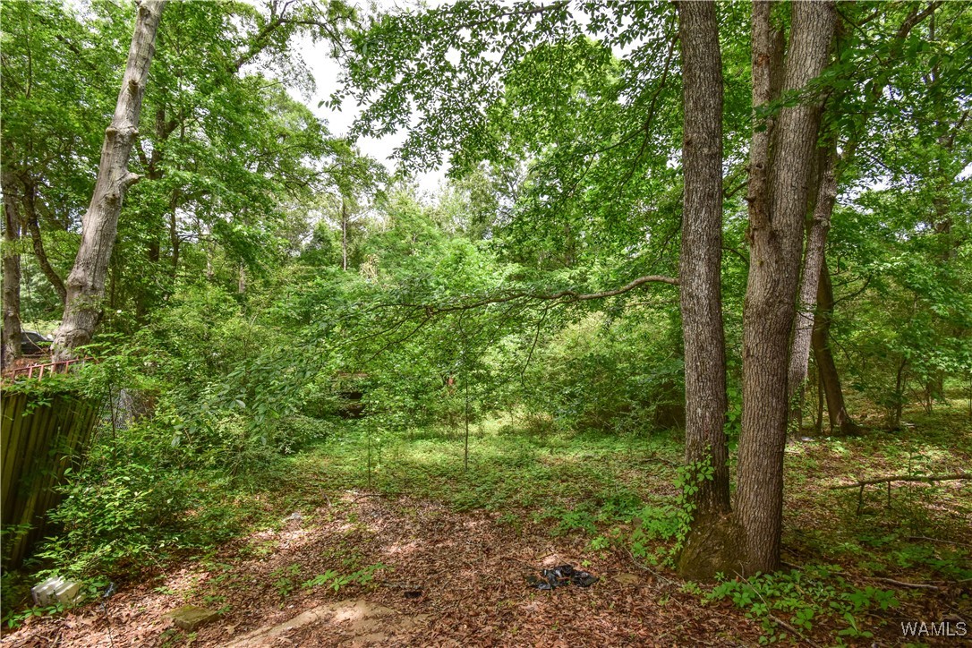 16397 Boothtown Road, Buhl, Alabama image 31