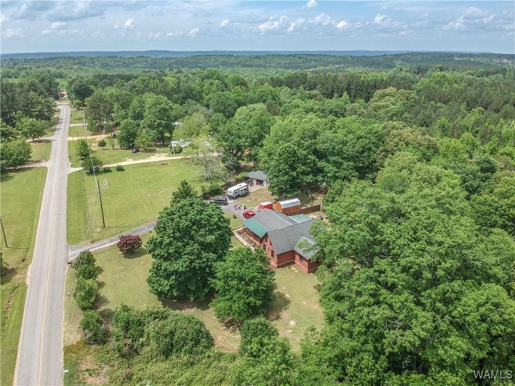 16397 Boothtown Road, Buhl, Alabama image 49