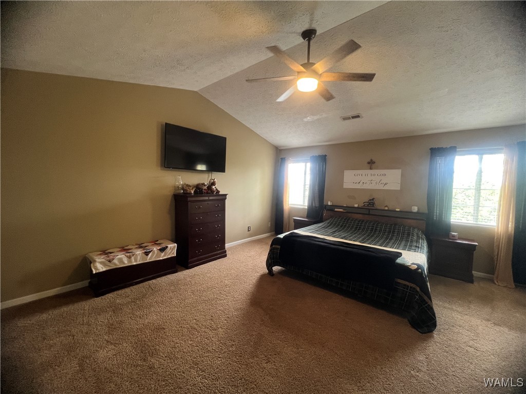 18681 Hill Dr Dr, Brookwood, Alabama image 16
