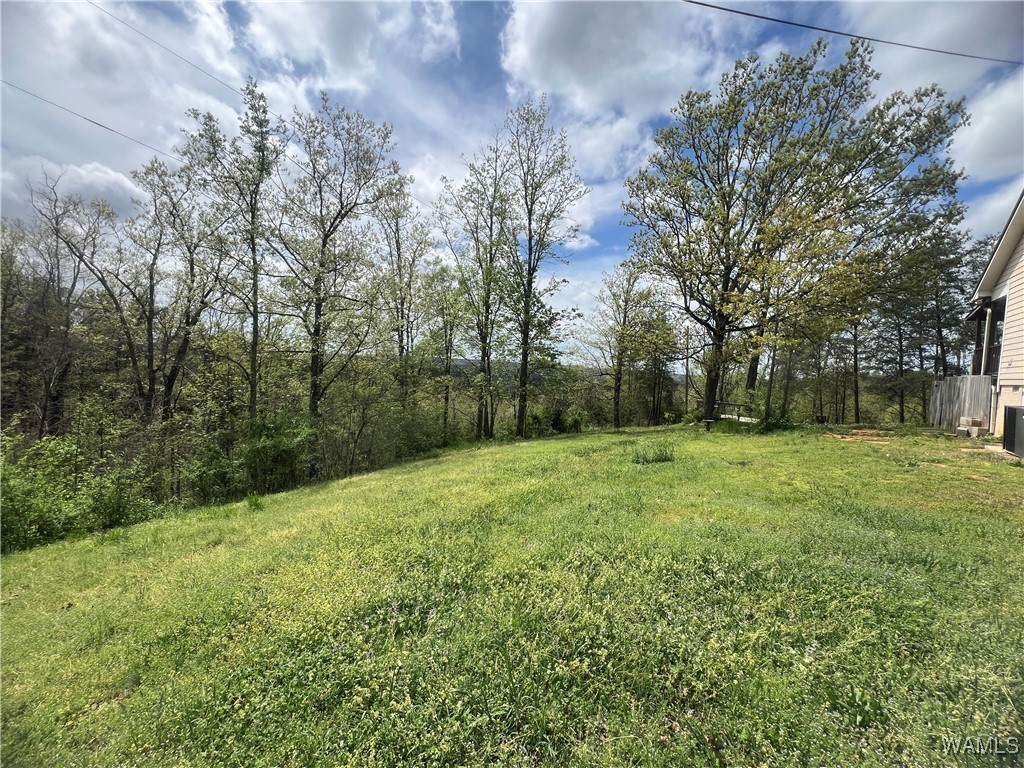 18681 Hill Dr Dr, Brookwood, Alabama image 29