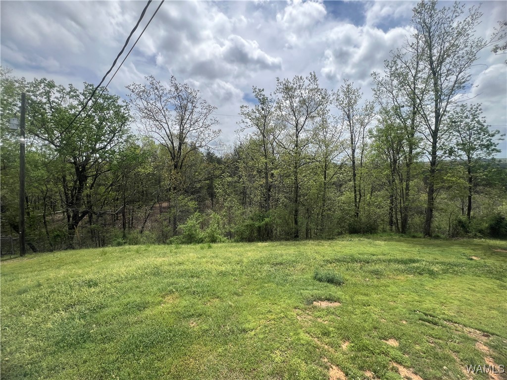 18681 Hill Dr Dr, Brookwood, Alabama image 20