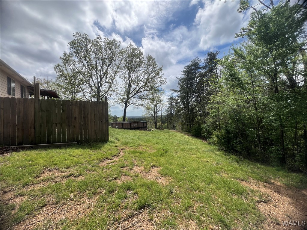18681 Hill Dr Dr, Brookwood, Alabama image 34