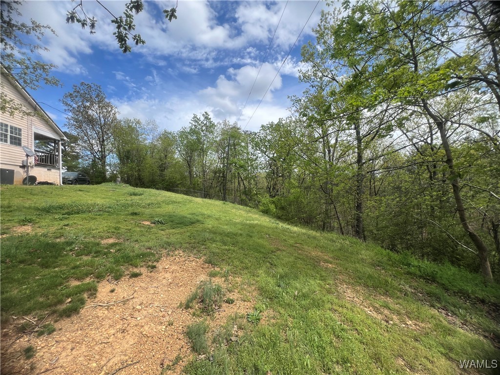 18681 Hill Dr Dr, Brookwood, Alabama image 30