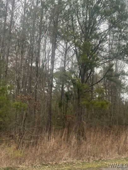 Lot 12 Magnolia Creek, Gordo, Alabama image 1