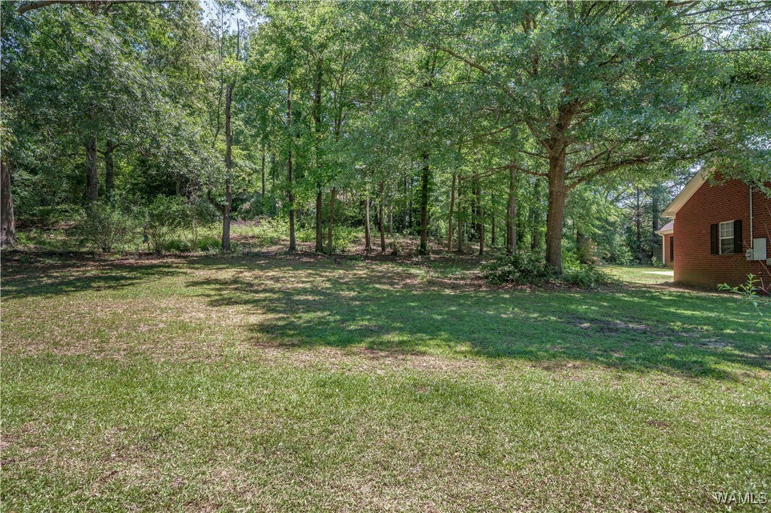 6650 Flatwoods Road, North Port, Alabama image 31