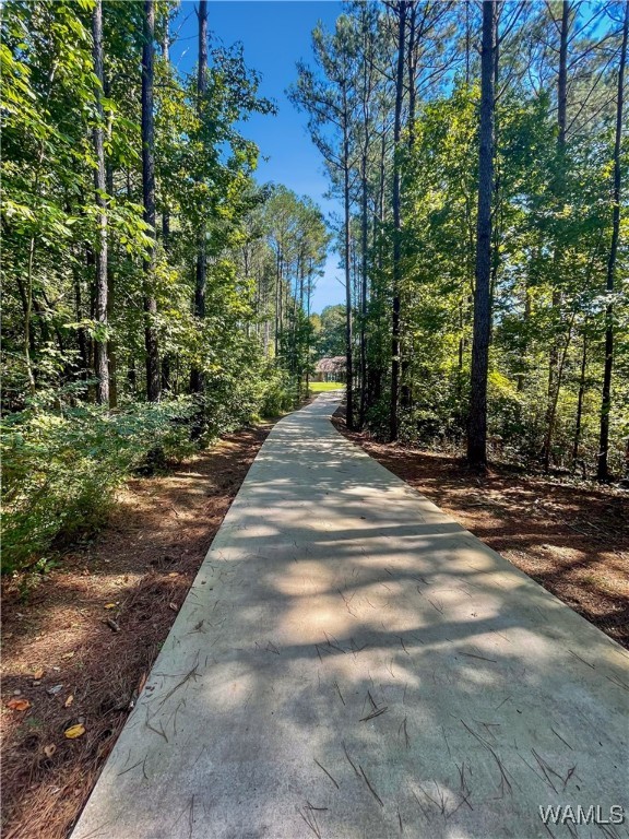 13560 Country Club Drive, North Port, Alabama image 44