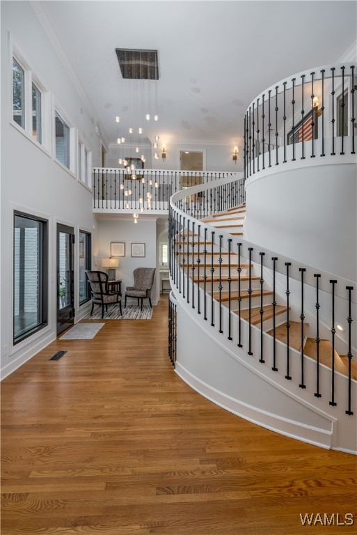 8731 Forrestal Drive, Tuscaloosa, Alabama image 7