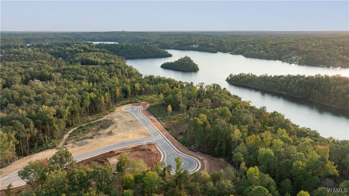 Lewis Spur Road, Tuscaloosa, Alabama image 6