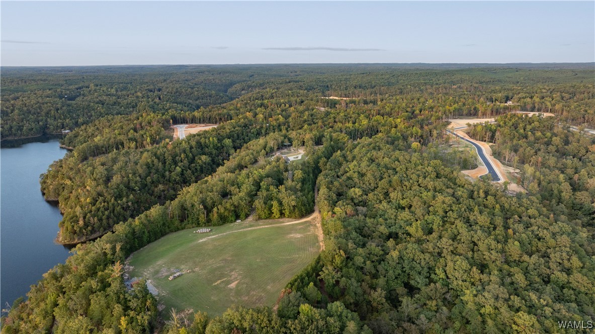 Lewis Spur Road, Tuscaloosa, Alabama image 8