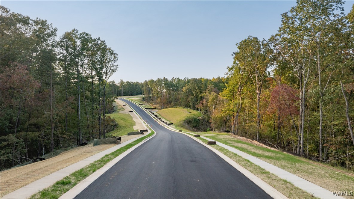 Lewis Spur Road, Tuscaloosa, Alabama image 7