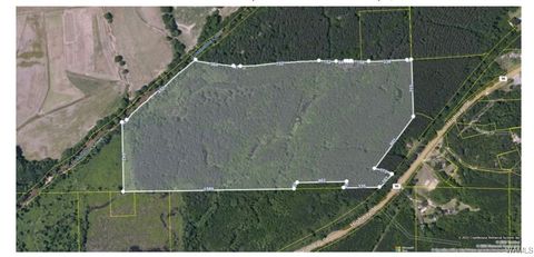 00 Hwy. 96 Fayette AL 35555