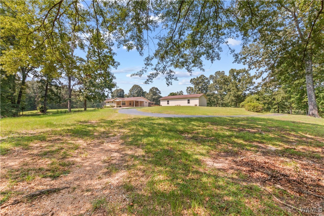 13624 Lake Lurleen Road, Coker, Alabama image 46