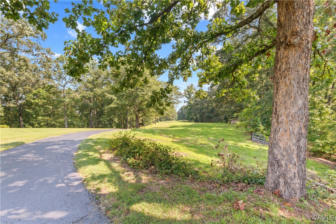 13624 Lake Lurleen Road, Coker, Alabama image 15