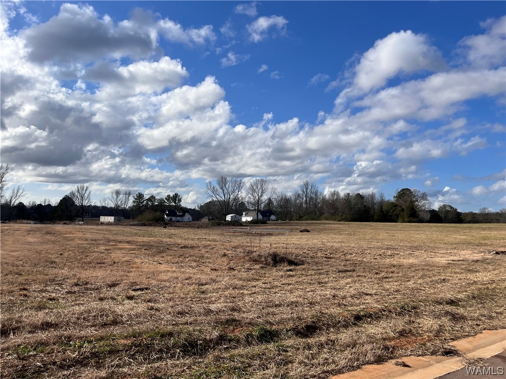 000 Meadows Creek Drive, Berry, Alabama image 9