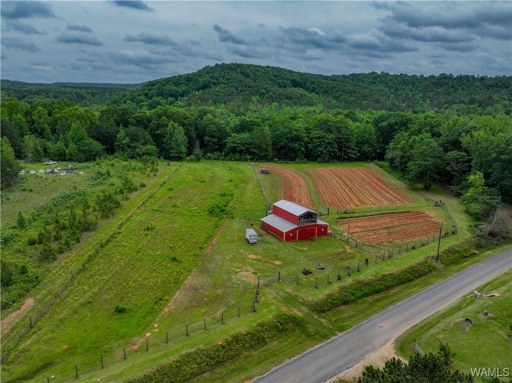 531 County Rd 125, Berry, Alabama image 4