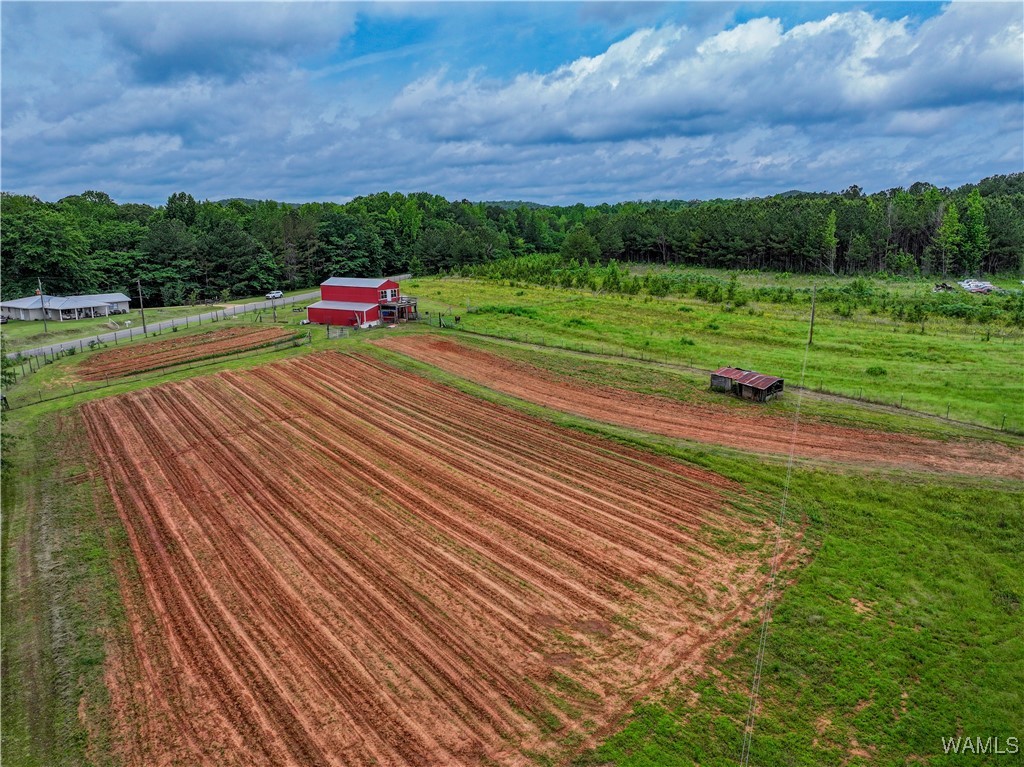 531 County Rd 125, Berry, Alabama image 5