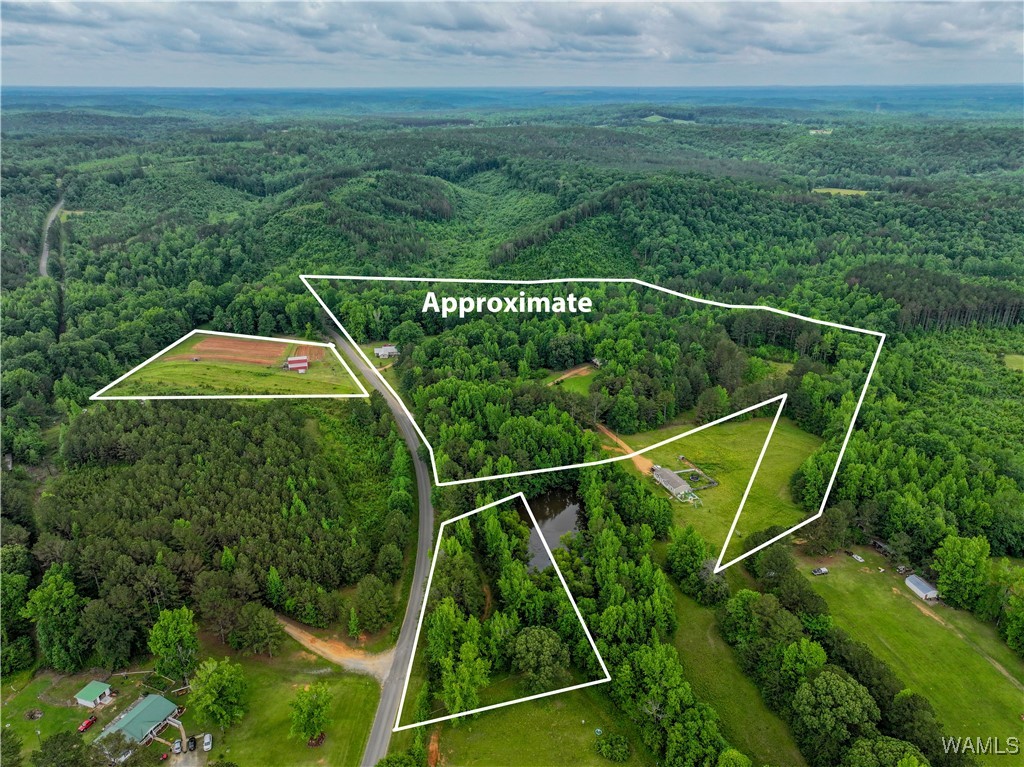 531 County Rd 125, Berry, Alabama image 2