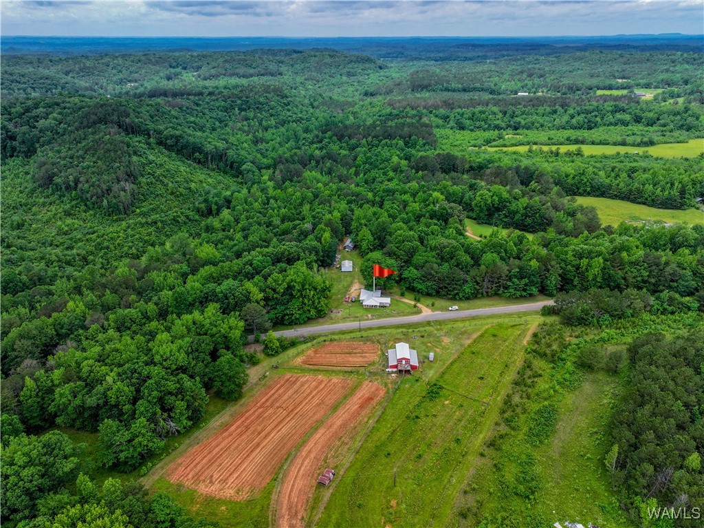 531 County Rd 125, Berry, Alabama image 12
