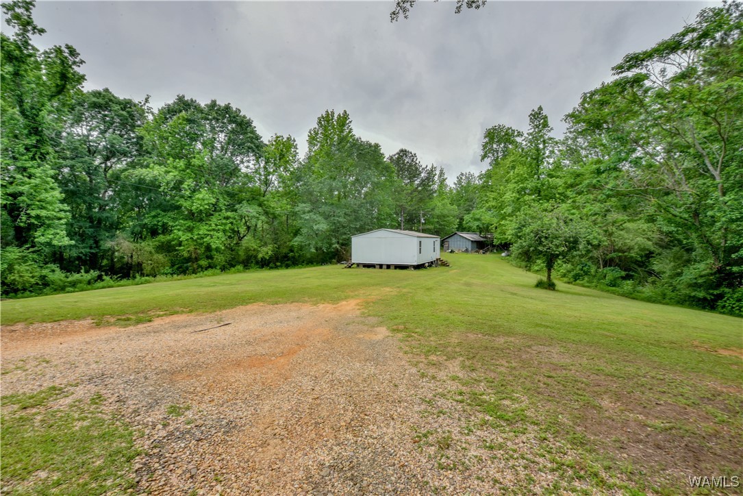 531 County Rd 125, Berry, Alabama image 11